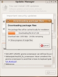 Ubuntu screenshot